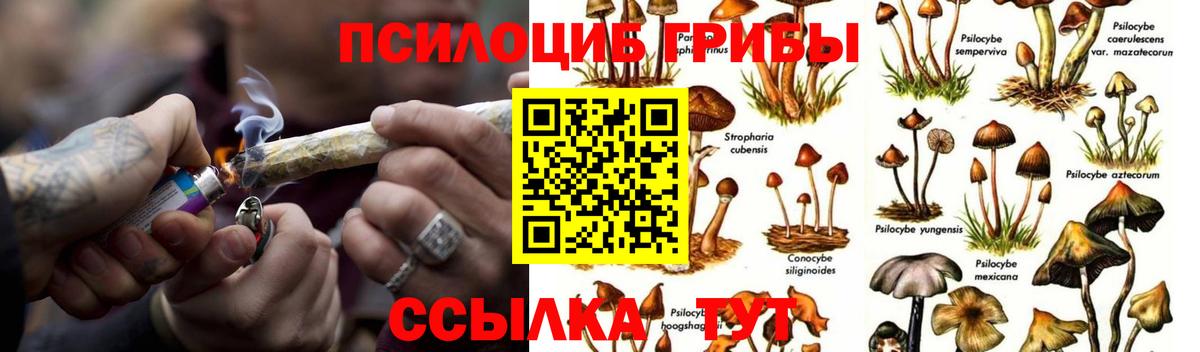 Галлюциногенные грибы прущие грибы  Вход с VPN  Надым 