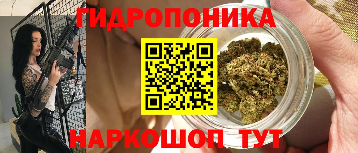Каннабис Amnesia  Шишки марихуана OG Kush  Канабис планчик  Каннабис индика  Надым  Вход с VPN 